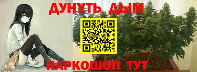 стафф Пушкино